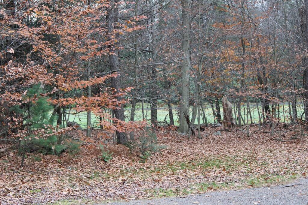 Luxury 4 Bedroom House In Pocono Mountains In Golf Course Near Lake Tobyhanna Exteriör bild